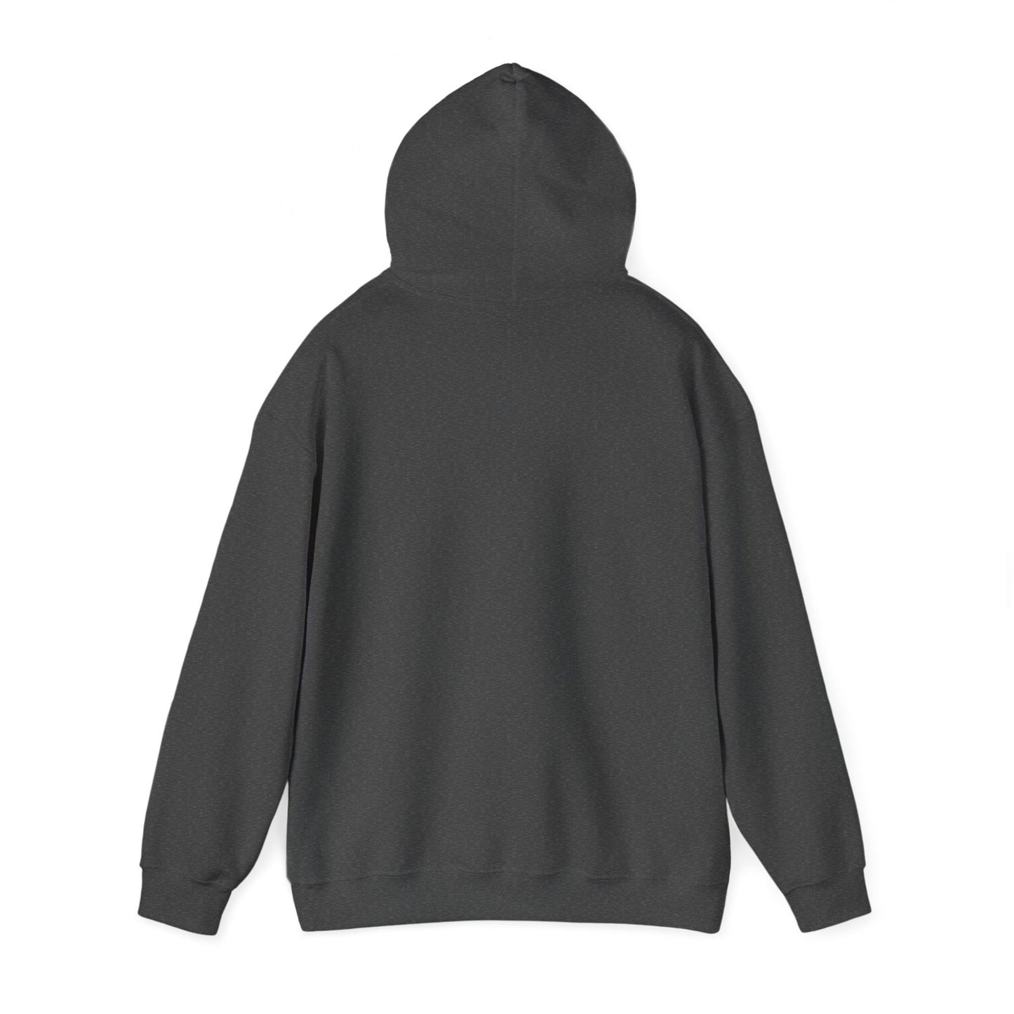 Youth Hoodie - Walking Tall Youth Attire